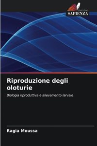 Riproduzione degli oloturie