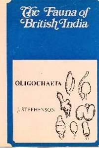 THE Oligochaeta