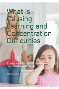 What is Causing Learning and Concentration Difficulties