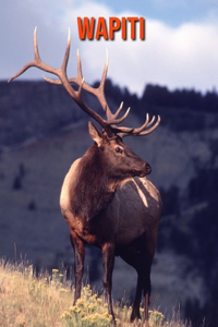 Wapiti