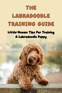 Labradoodle Training Guide