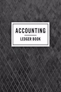 Accounting Ledger Book