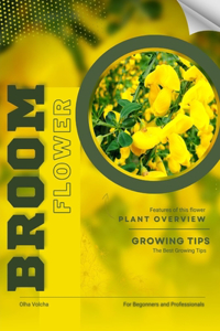 Broom