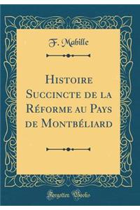 Histoire Succincte de la RÃ©forme Au Pays de MontbÃ©liard (Classic Reprint)