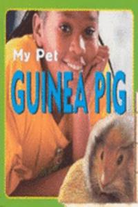 Guinea Pig