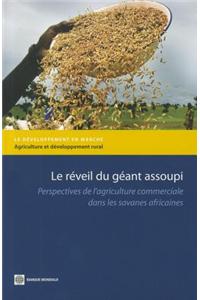 Le reveil du geant assoupi