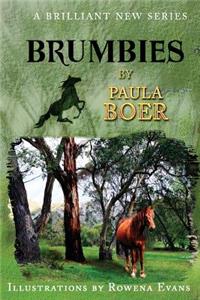 Brumbies