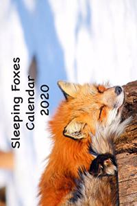 Sleeping Foxes Calendar 2020