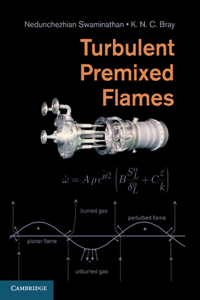 Turbulent Premixed Flames