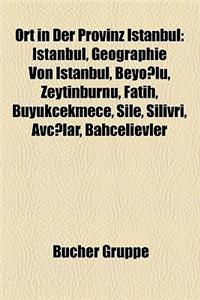 Ort in Der Provinz Istanbul