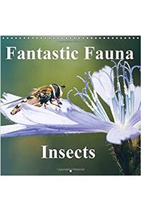 Fantastic Fauna - Insects. 2017