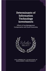 Determinants of Information Technology Investments