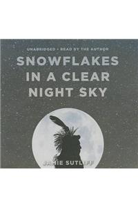 Snowflakes in a Clear Night Sky