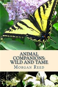 animal companions