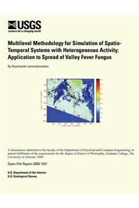 Multilevel Methodology for Simulation of Spatio-Temporal Systems with Heterogenous Activity