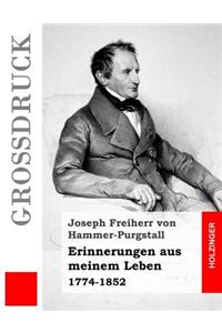 Erinnerungen aus meinem Leben (Großdruck)