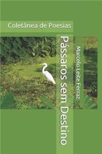 Pássaros sem Destino