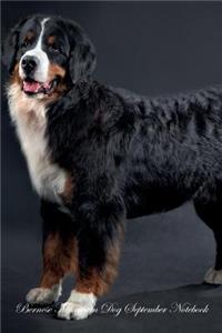 Bernese Mountain Dog September Notebook Bernese Mountain Dog Record, Log, Diary, Special Memories, To Do List, Academic Notepad, Scrapbook & More