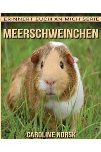 Meerschweinchen