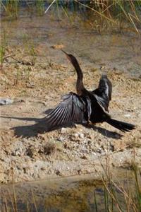 Anhinga Bird Journal (Snakebird)