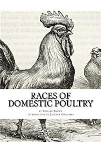 Races of Domestic Poultry