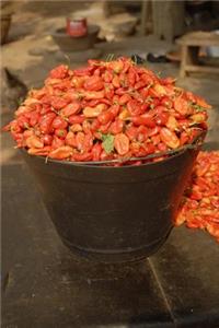 Red Chile Peppers in a Bucket Harvest Journal