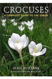 Crocuses