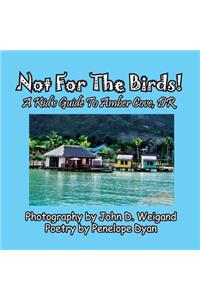 Not For The Birds! A Kid's Guide To Amber Cove, DR