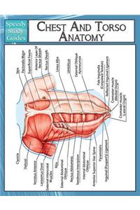 Chest And Torso Anatomy (Speedy Study Guide)