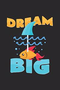 Dream Big