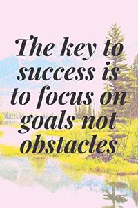 The key to success is to focus on goals, not obstacles.