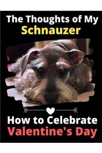 Thoughts of My Schnauzer