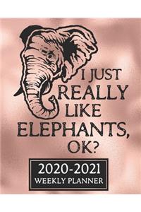 2020-2021 Weekly Planner