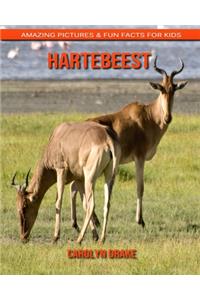 Hartebeest