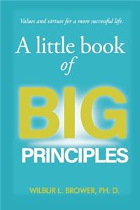 Little Book of Big Principles