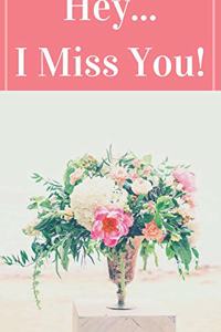 Hey I Miss You