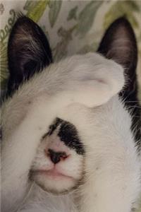 Sweet Napping Kitten Journal