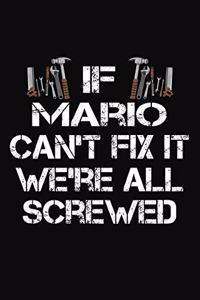 If Mario Can't Fix It We're All Screwed