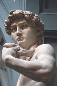 David by Michelangelo Journal