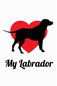 Love My Labrador