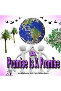Promise Is A Promise