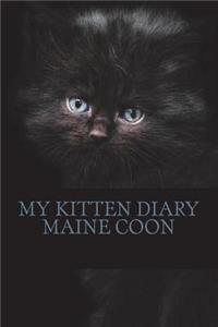 My kitten diary