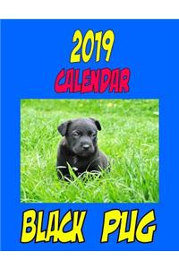 2019 Calendar Black Pug: Personal contact, password log, notes, to do list and more.