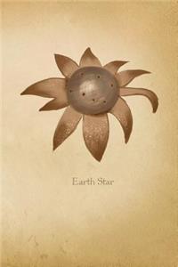 Earth Star