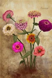 Zinnias