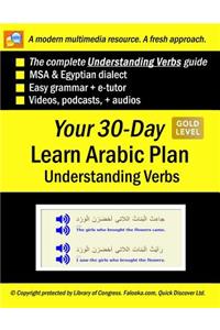 Your 30-Day Learn Arabic Plan (Understanding Verbs), Gold: Audios, MP3 + E-Tutor by Falooka