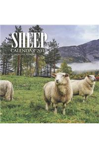 Sheep Calendar 2019