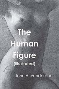 Human Figure