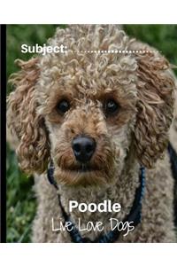 Poodle - Live Love Dogs!