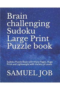 Brain challenging Sudoku Large Print Puzzle book